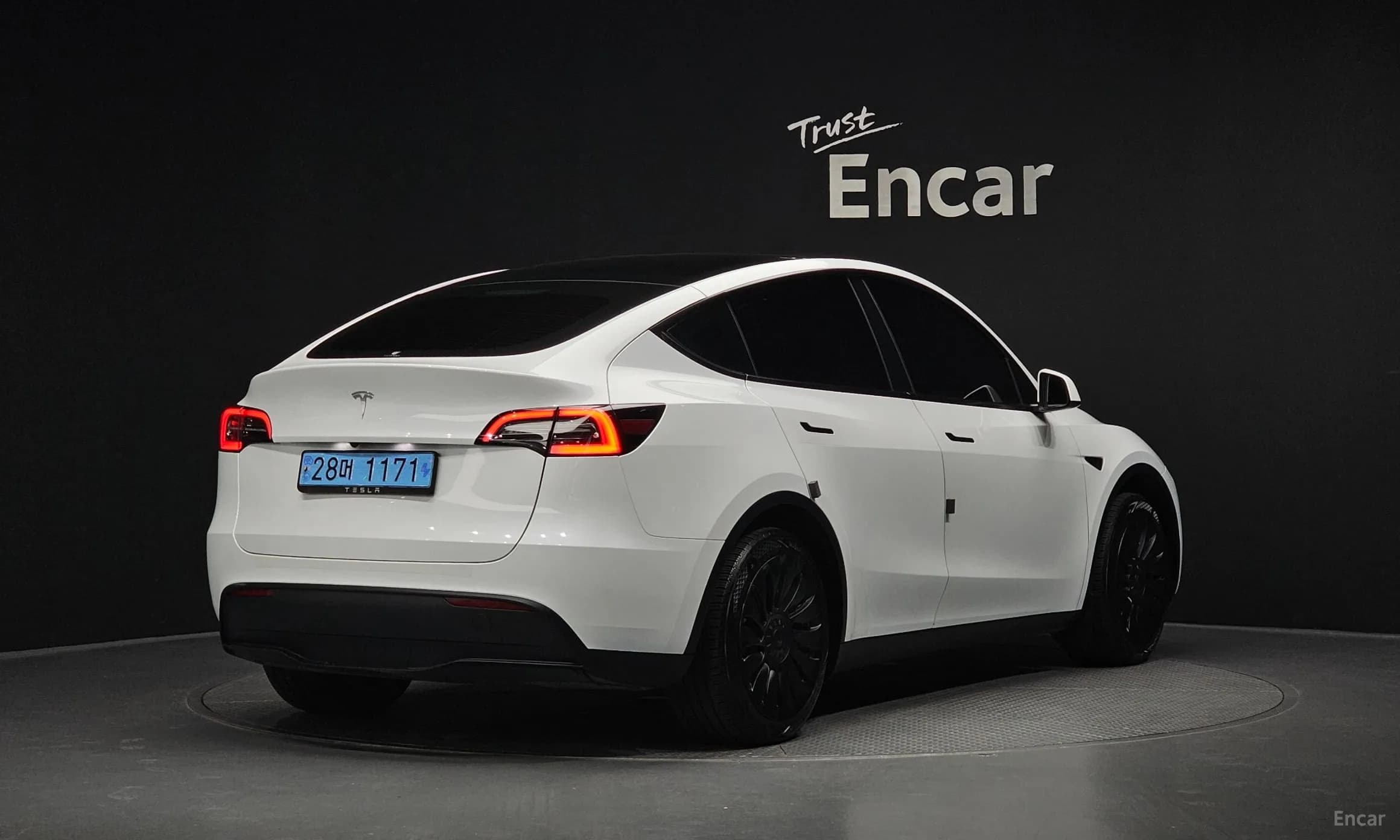 Model Y