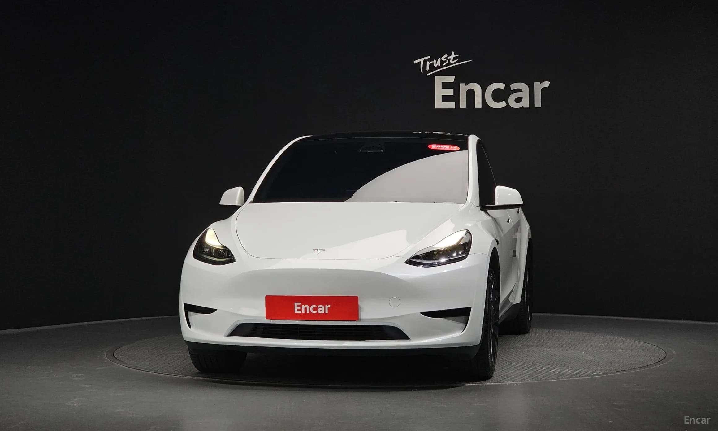 Model Y