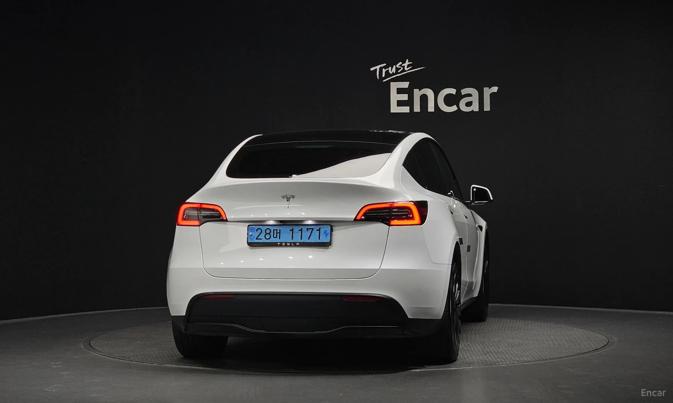 Model Y