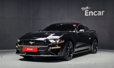 Mustang