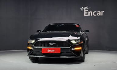 Mustang