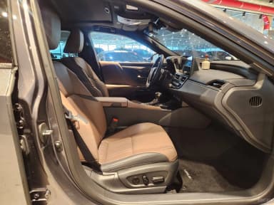 ES300h 7th Generation