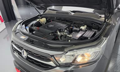 Rexton Sports