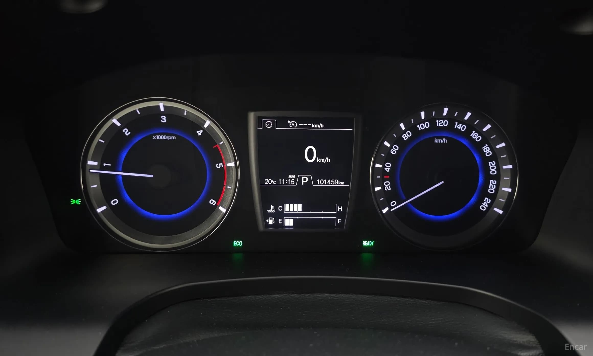 Rexton Sports