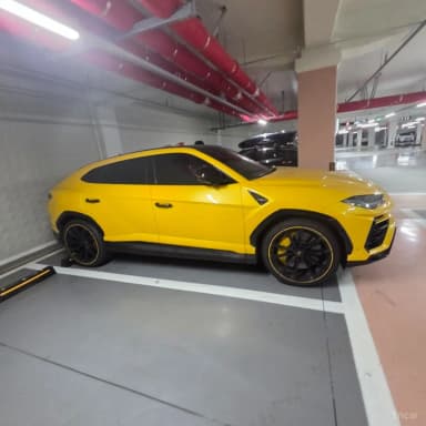 Urus