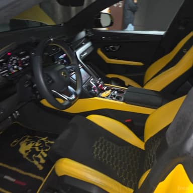 Urus