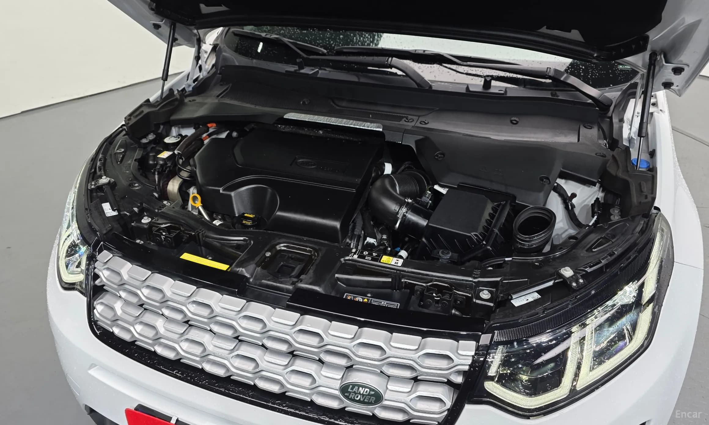 Discovery Sports