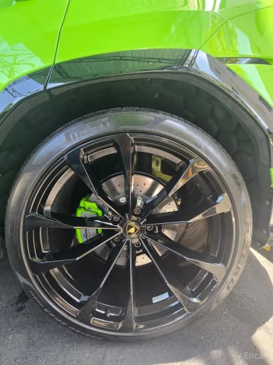 Urus