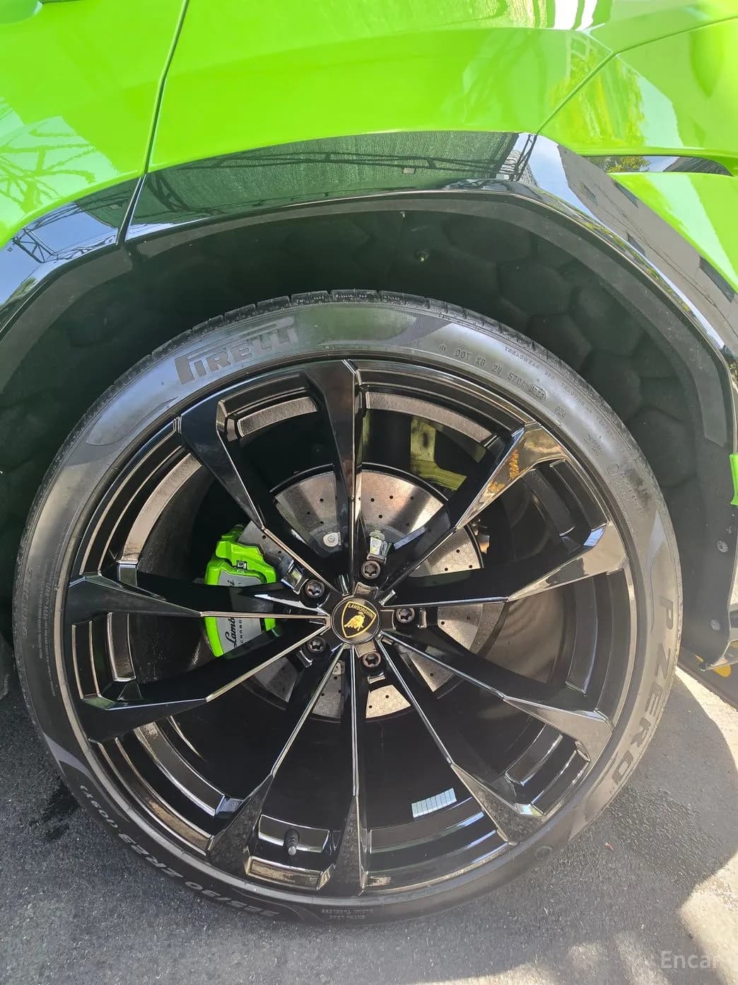 Urus