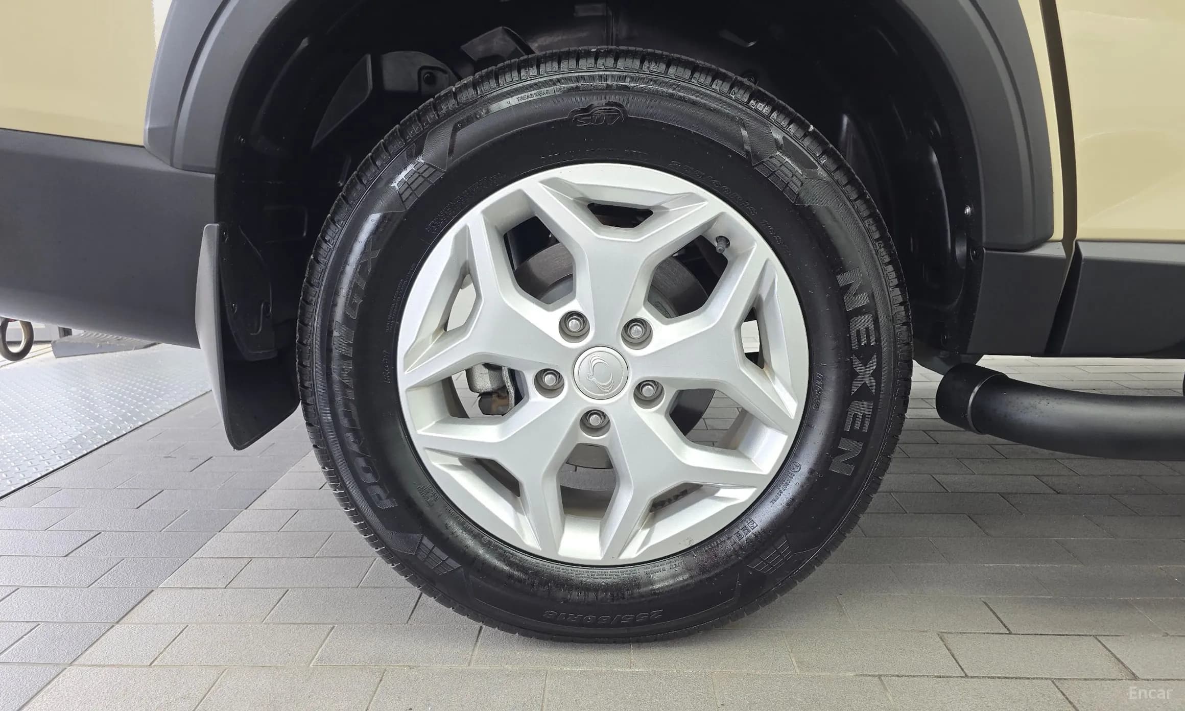 Rexton Sports