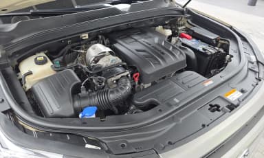 Rexton Sports
