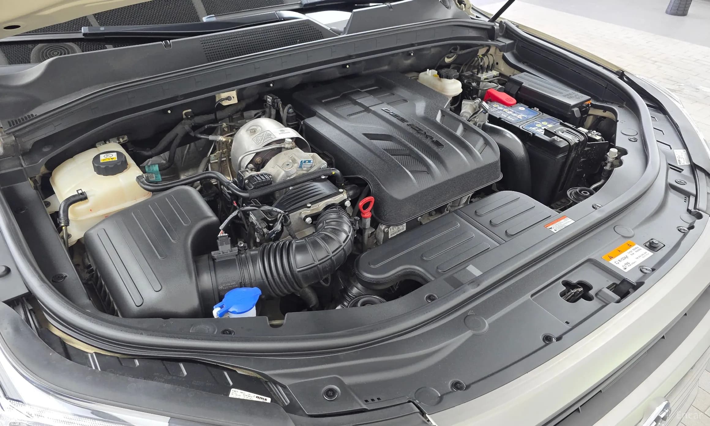 Rexton Sports