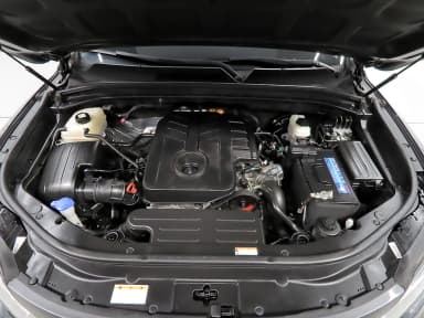 Rexton Sports