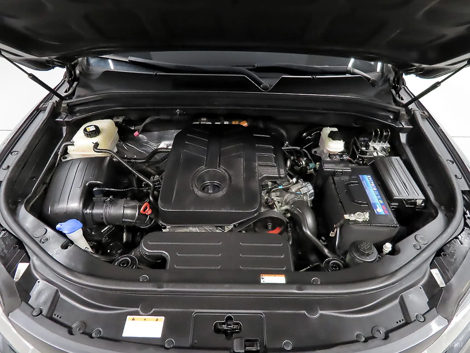 Rexton Sports