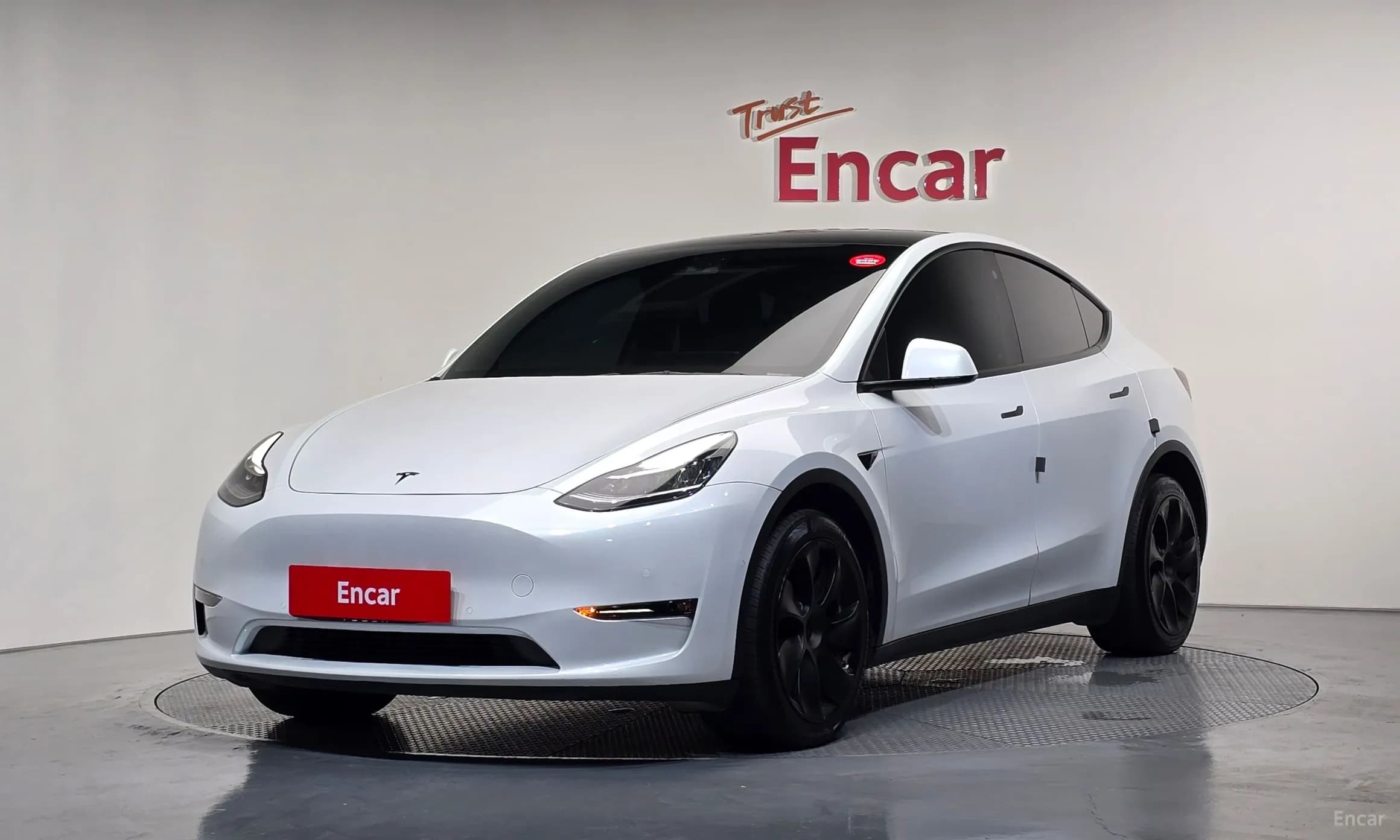 Model Y