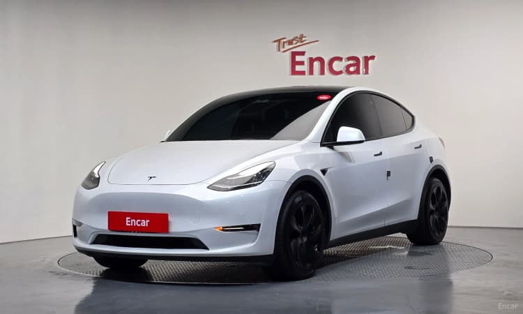 Model Y