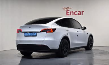 Model Y