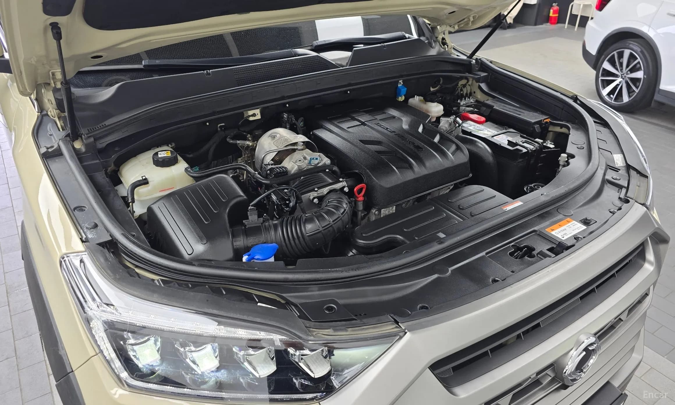 Rexton Sports