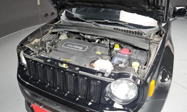 Renegade