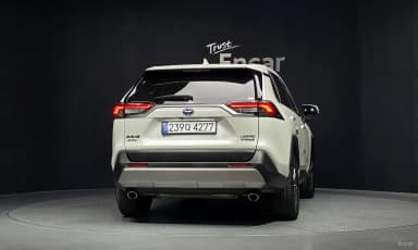 RAV4 5th Generation