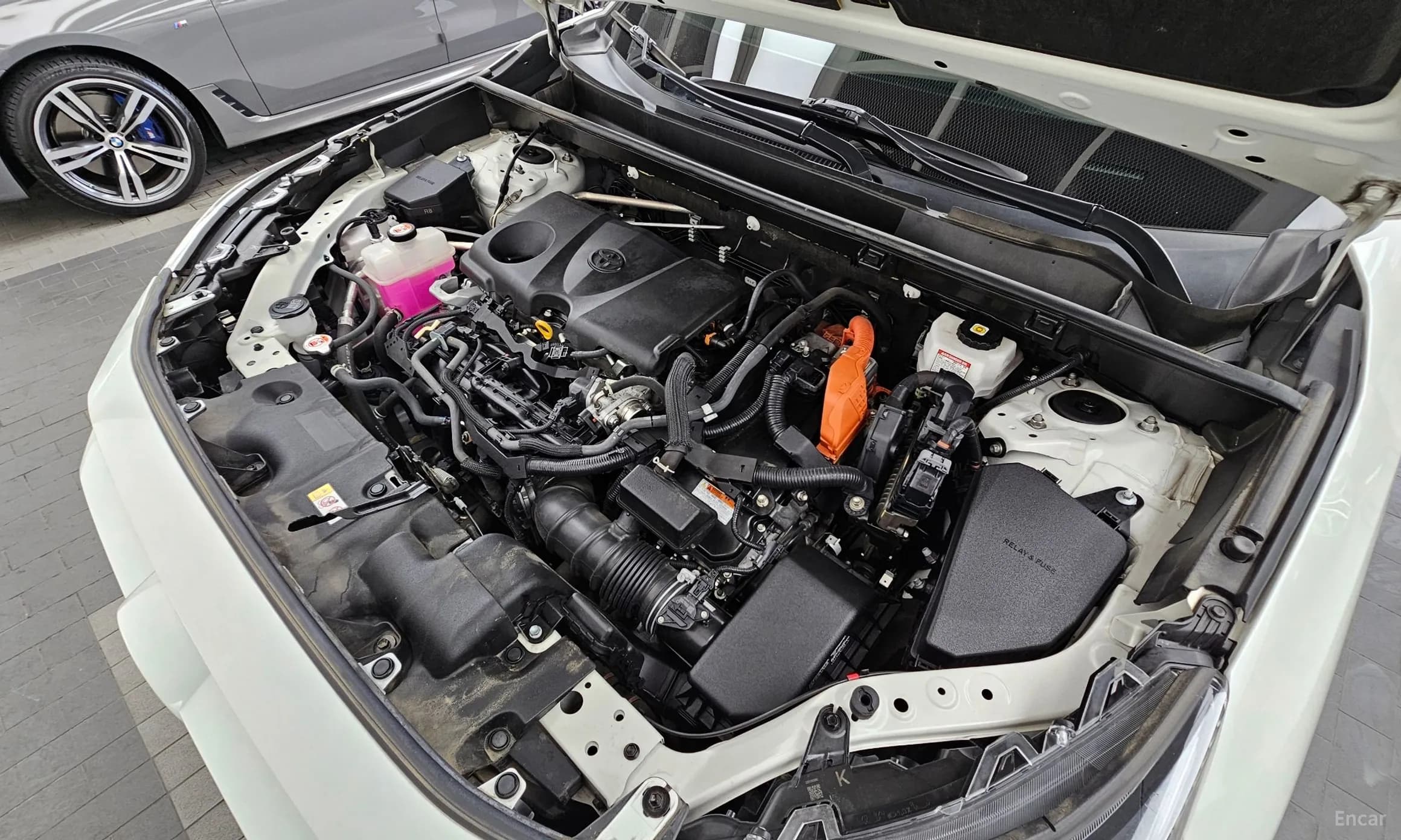 RAV4 5th Generation
