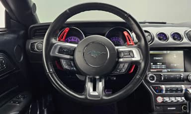 Mustang