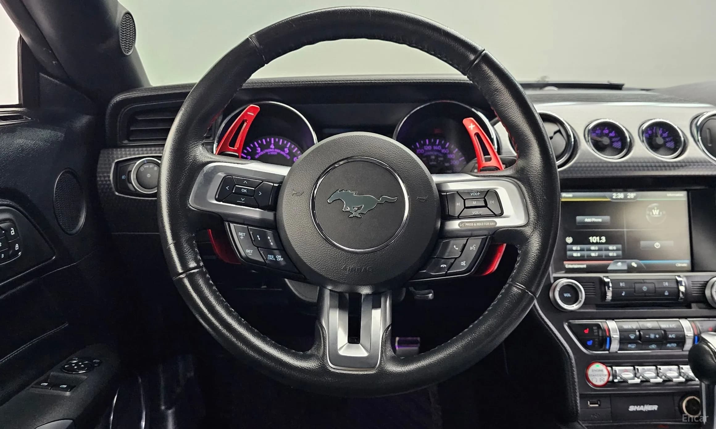 Mustang