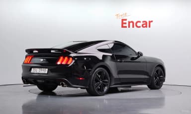 Mustang