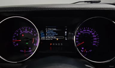 Mustang