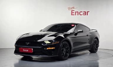 Mustang