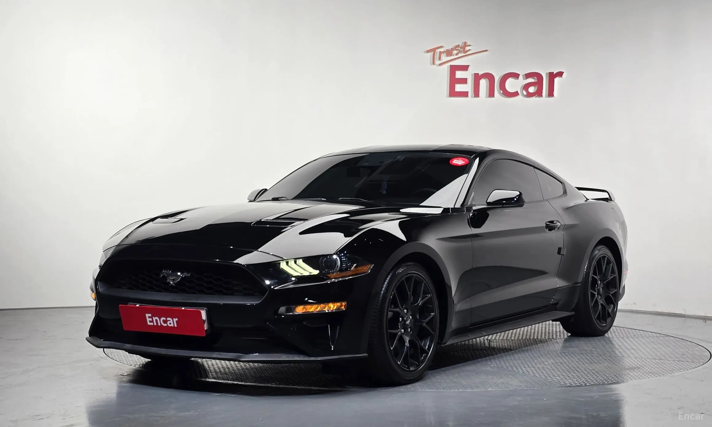 Mustang