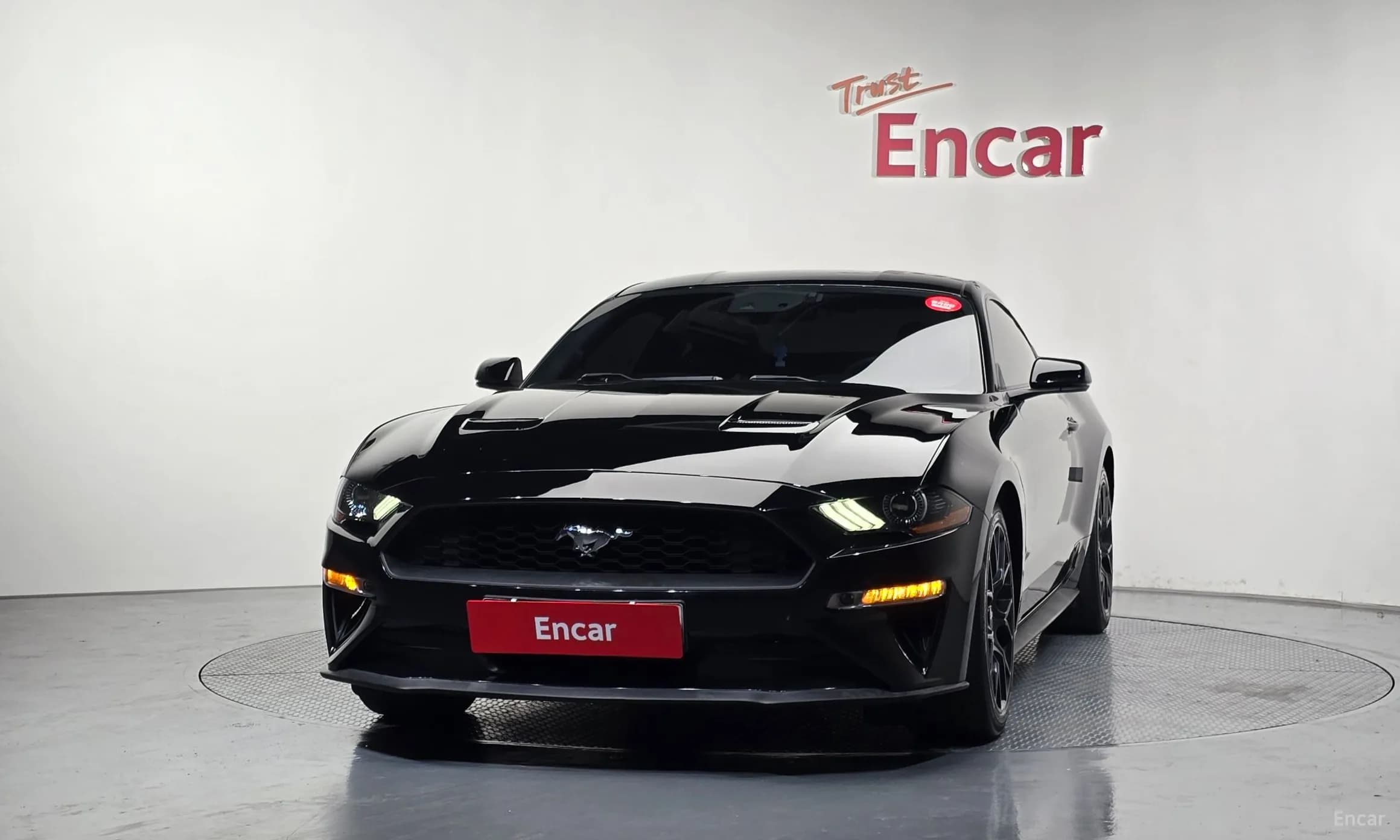 Mustang