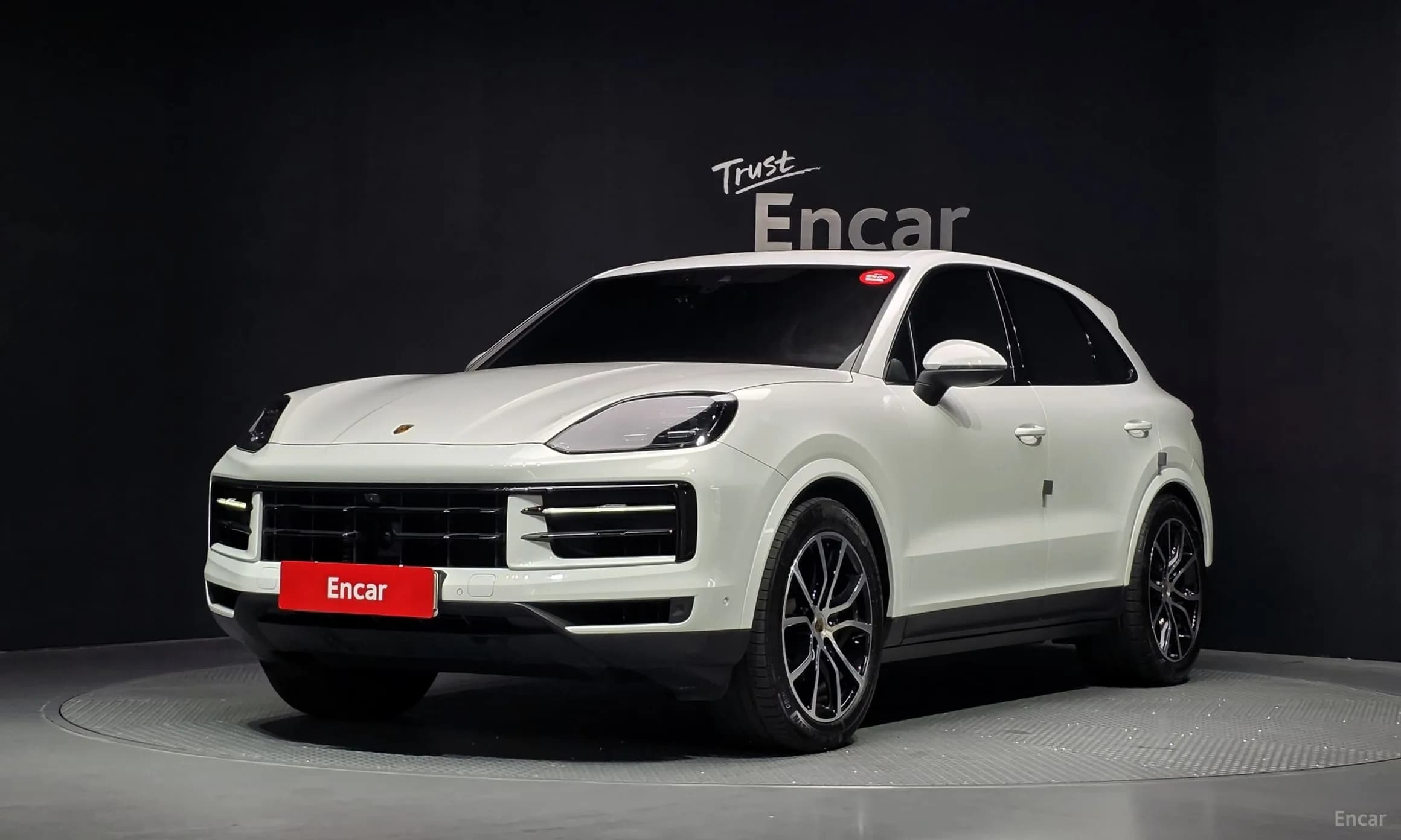 Cayenne (PO536)