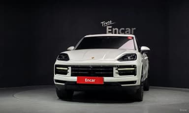 Cayenne (PO536)