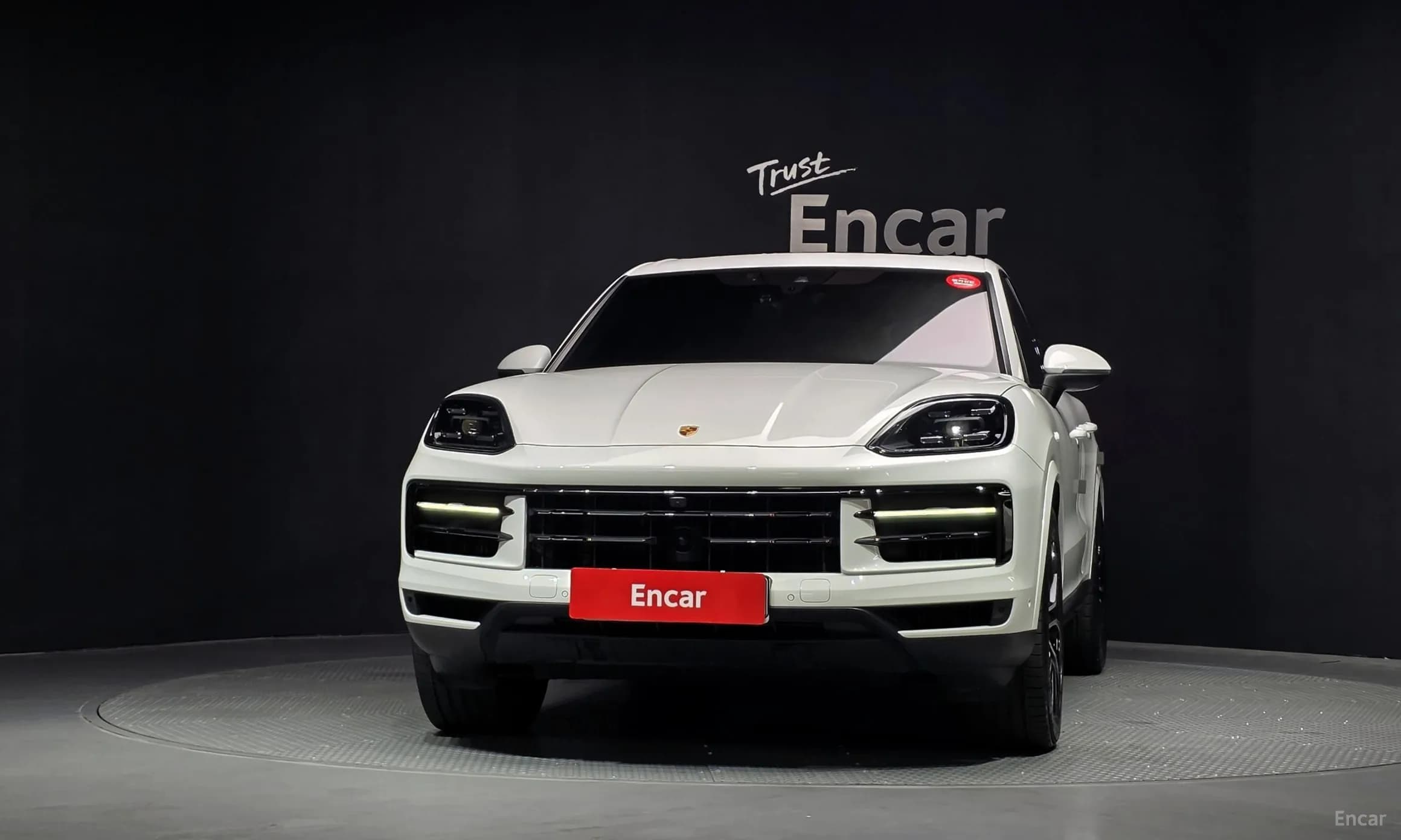 Cayenne (PO536)
