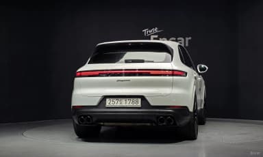Cayenne (PO536)