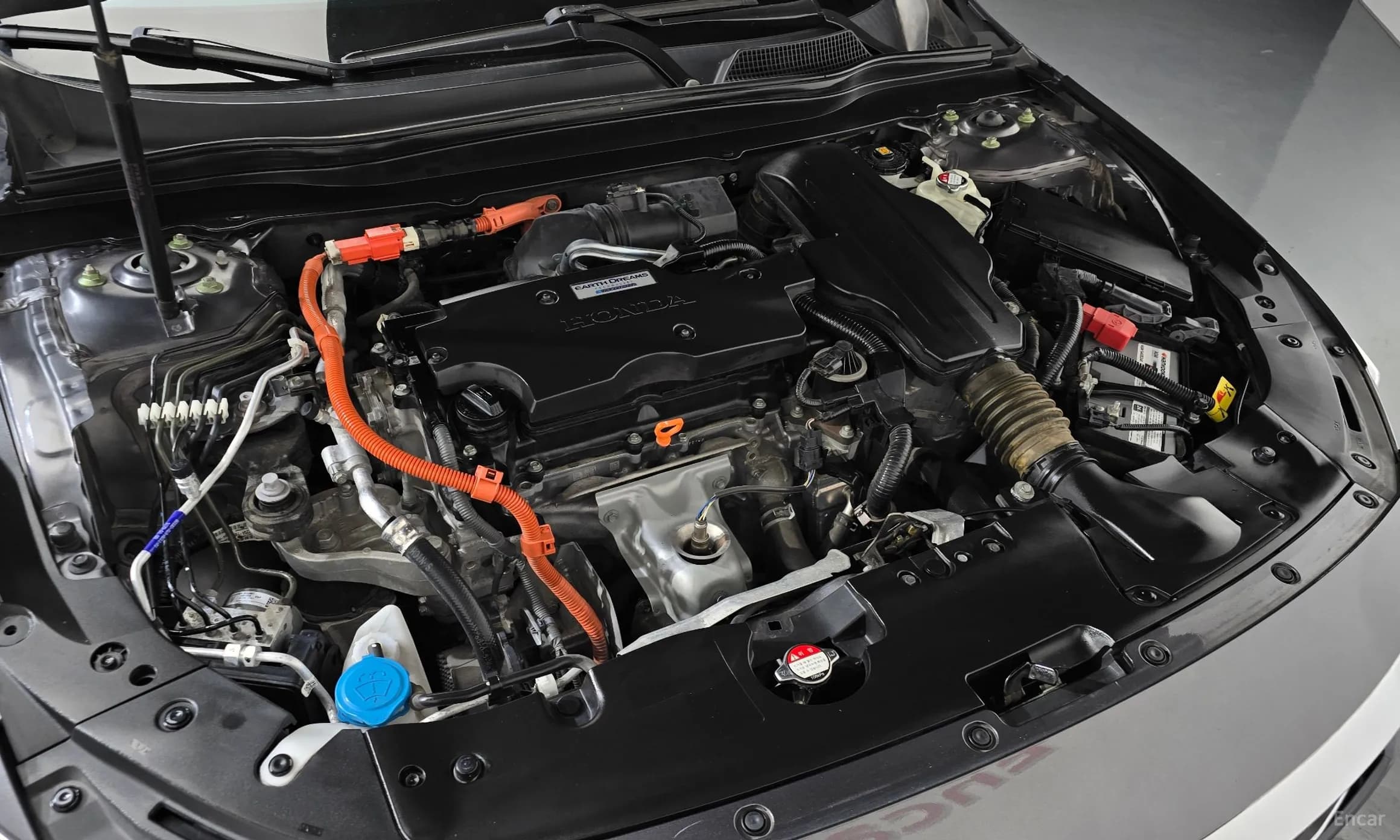 Accord 10th Generation