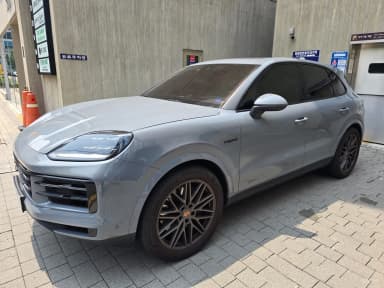 Cayenne (PO536)