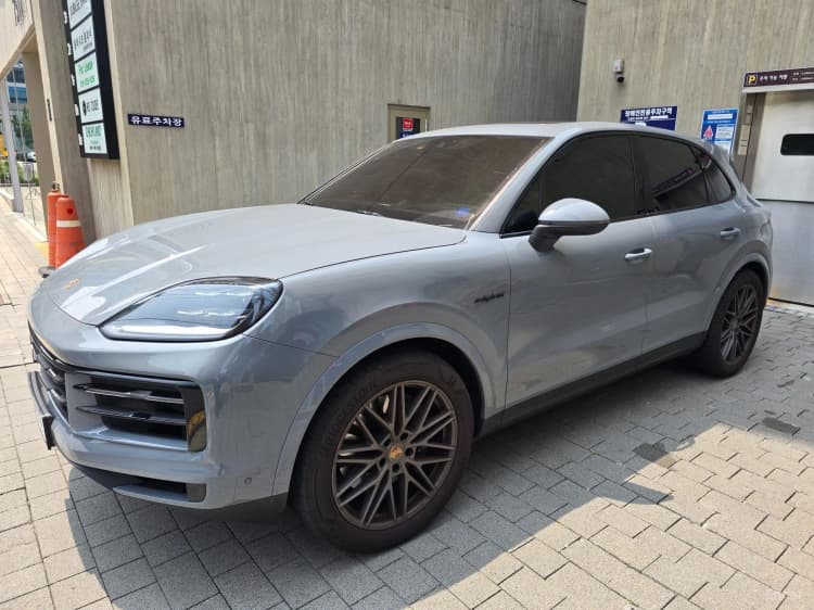Cayenne (PO536)