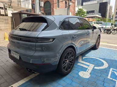 Cayenne (PO536)