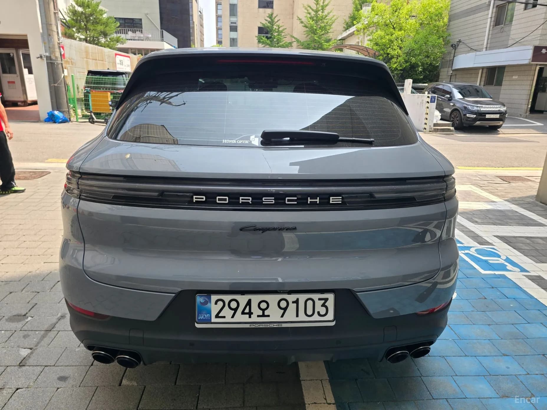 Cayenne (PO536)