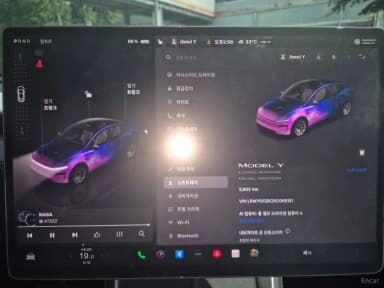 Model Y