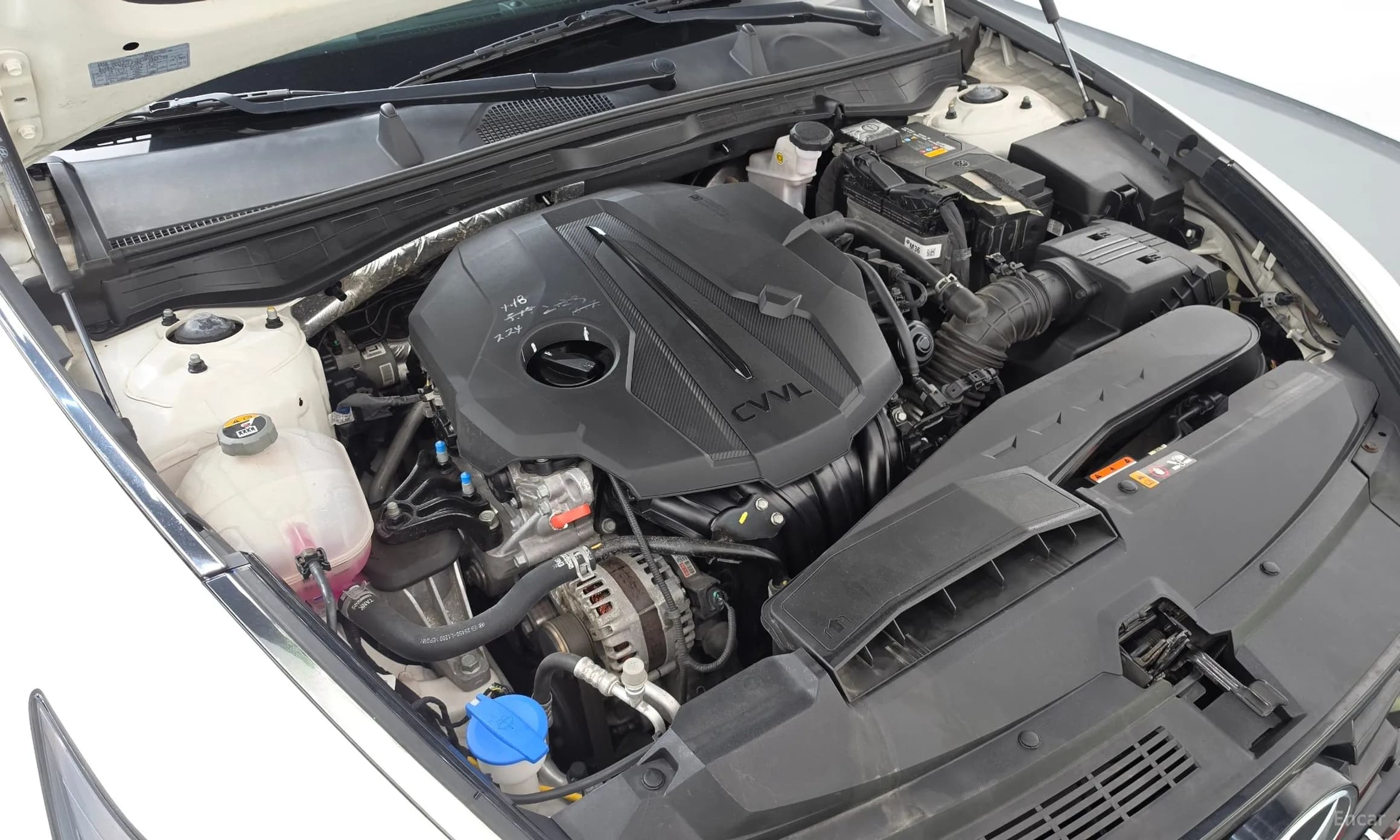 Sonata (DN8)