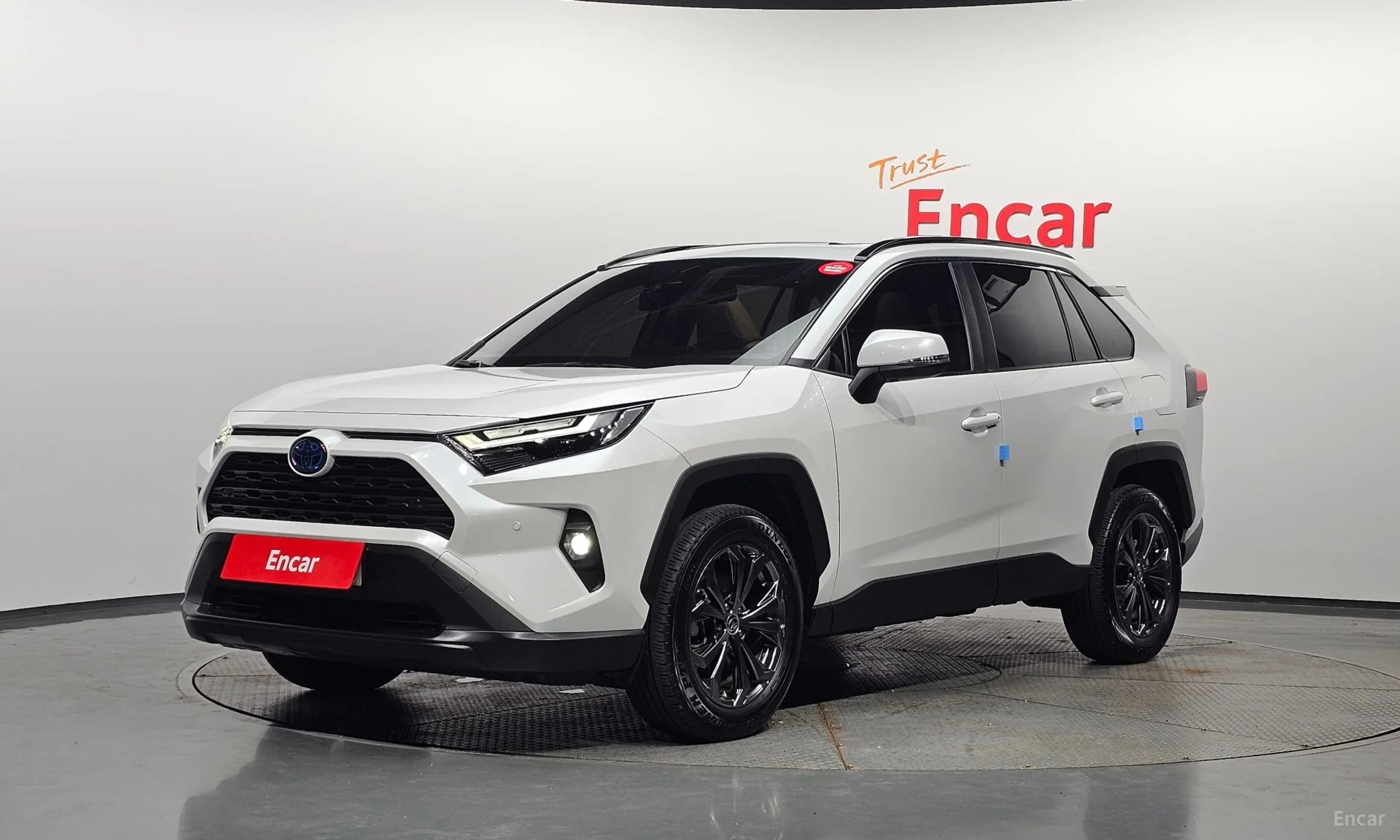 RAV4 5th Generation