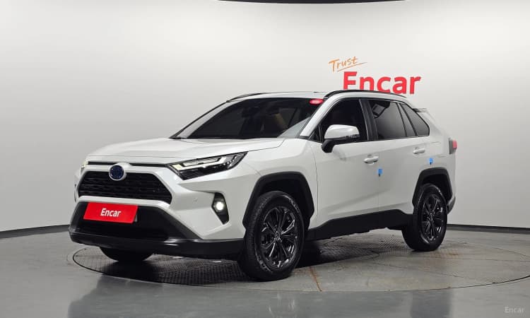 RAV4 5th Generation
