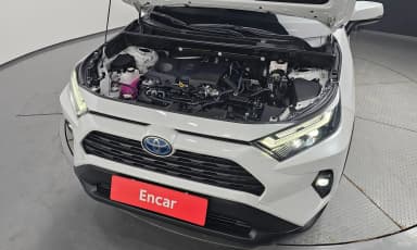 RAV4 5th Generation