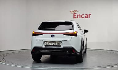 UX250h