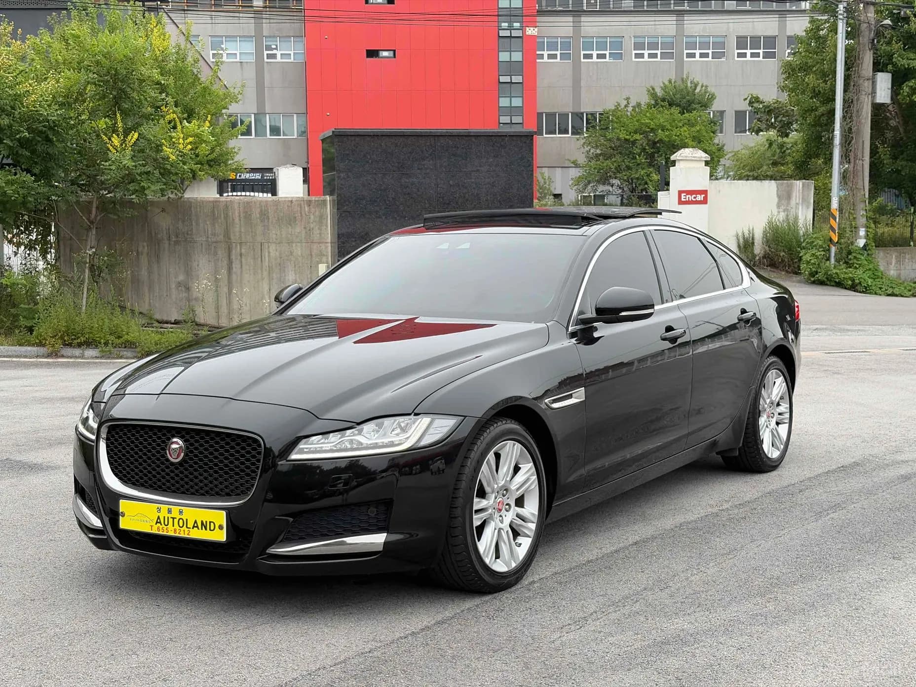 XF (x260)