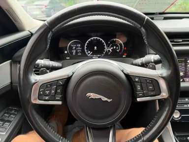 XF (x260)