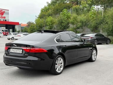 XF (x260)
